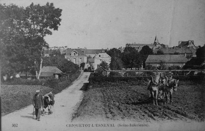 criquetot-l-esneval-vue-generale2