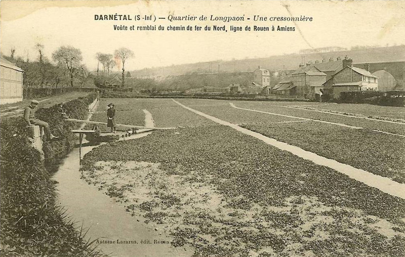 Une Cressionni�re - Quartier de Longpaon