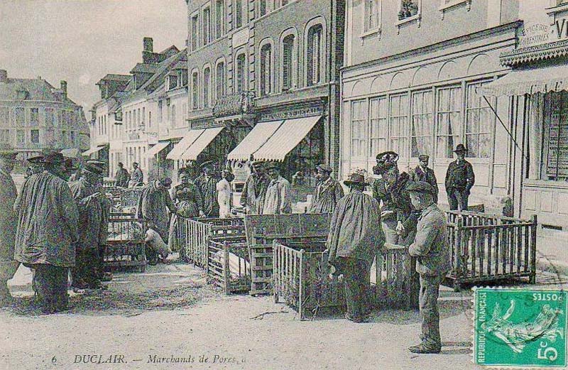 duclair-marchands-porcs