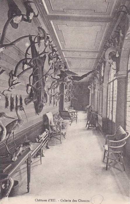 Ch�teau d'Eu - Galerie des Chasses