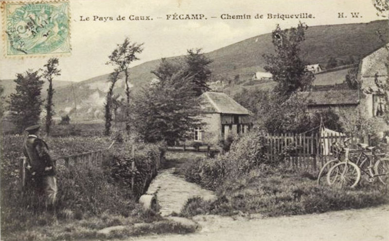 fecamp-chemin-briqueville