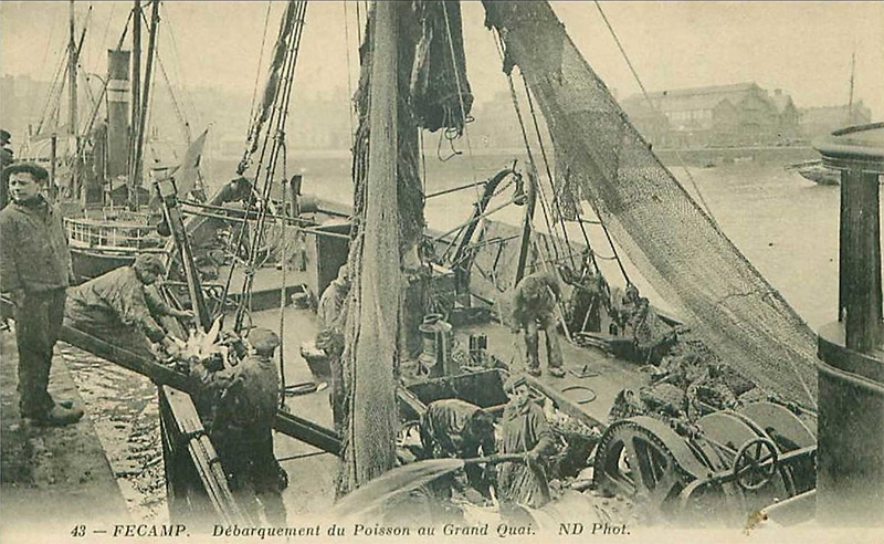Dbarquement du Poisson au Grand Quai.