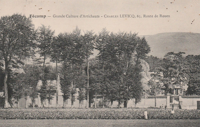 Grande Culture d'ArtichautsRoute de Rouen