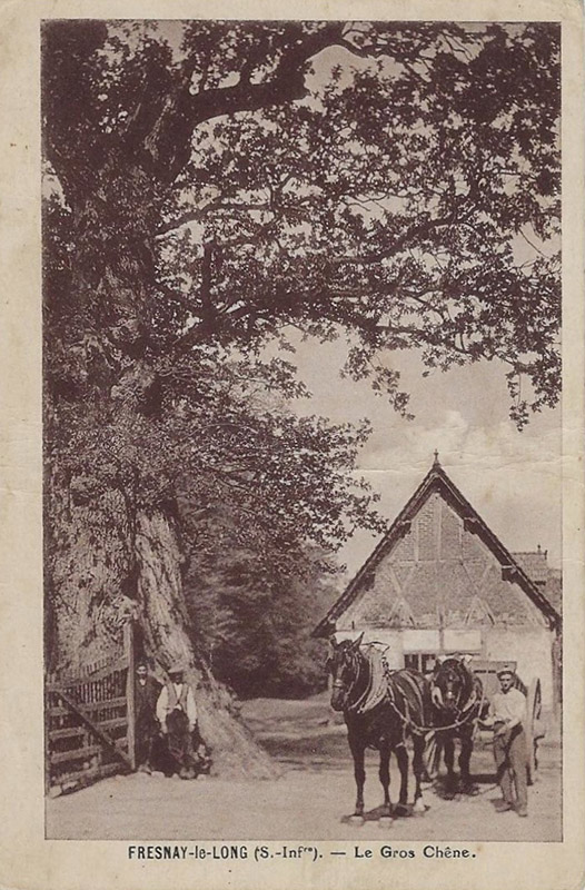 fresnay-le-long-gros-chene