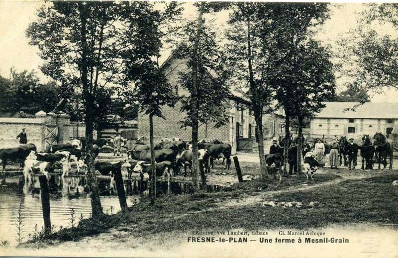 fresne-le-plan-mesnil-grain-ferme