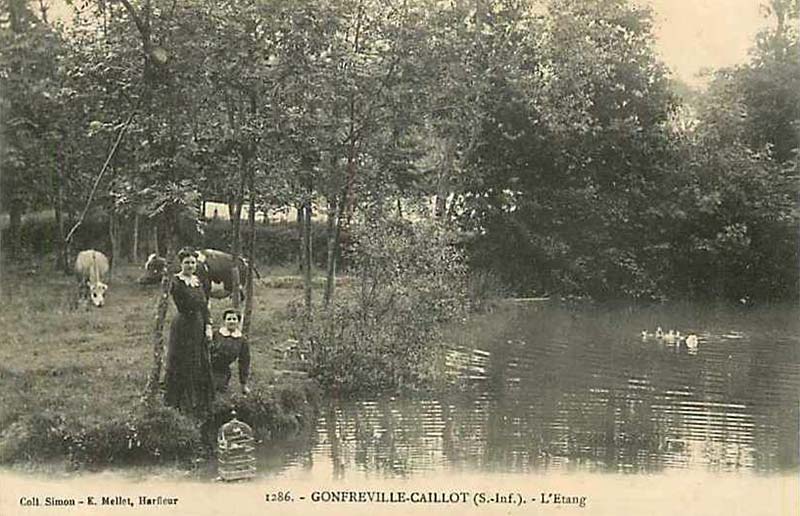 gonfreville-caillot-etang