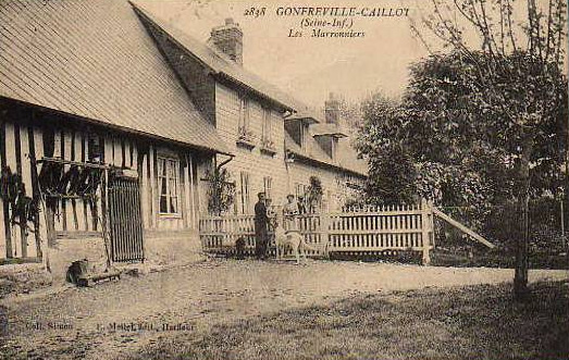gonfreville-caillot-marronniers