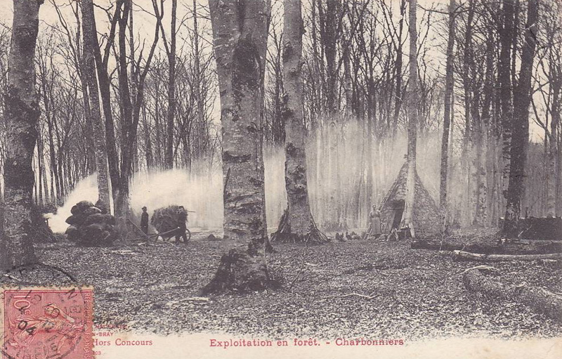 Exploitation en Forêt - Charbonniers