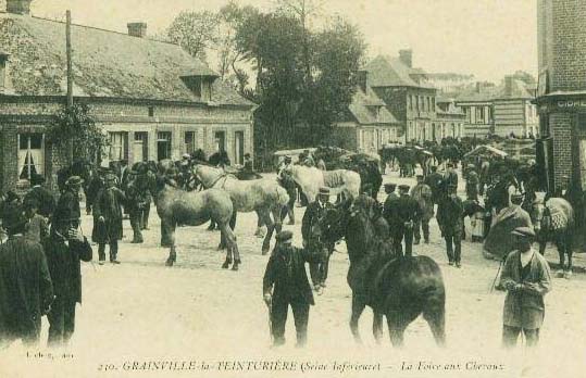 grainville-la-teinturiere-foire-chevaux