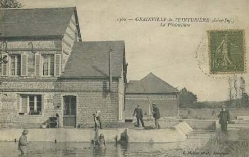 grainville-la-teinturiere-pisciculture2