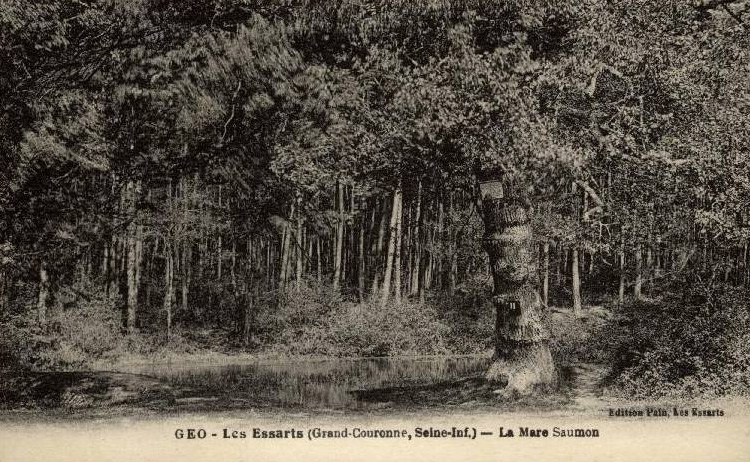 Les Essarts - La Mare Saumon