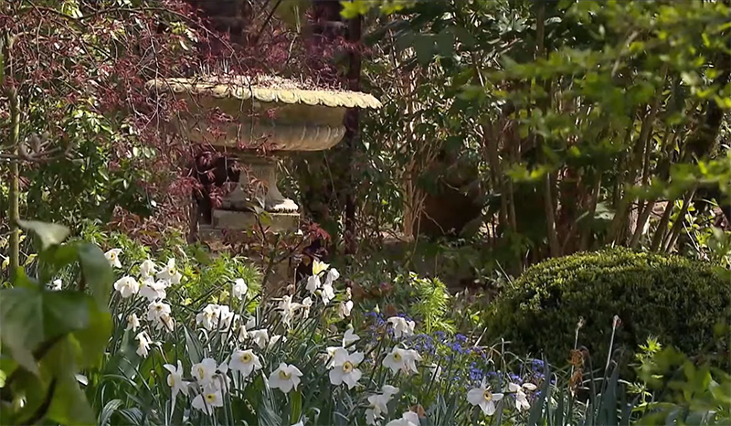 Les jardins d'Agapanthe