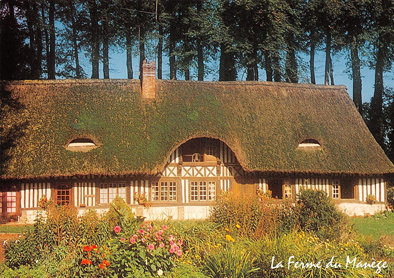 hattenville-ferme-manege