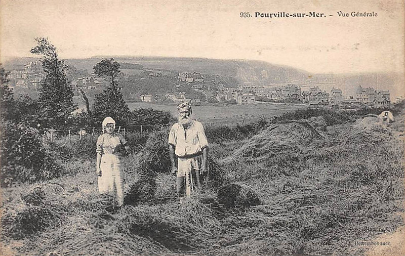 pourville-vue-generale7