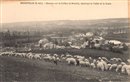 Moutons sur la Colline de Breuilly - Incheville