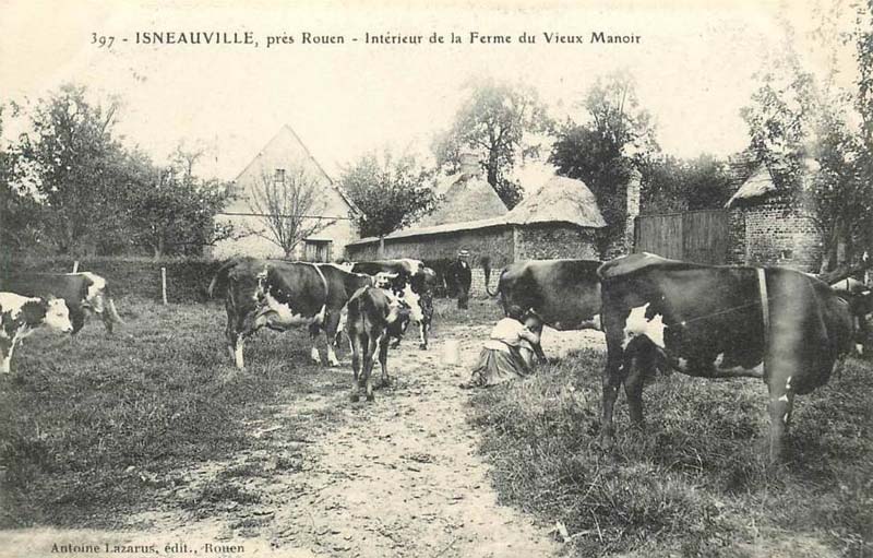 isneauville-ferme-vieux-manoir2
