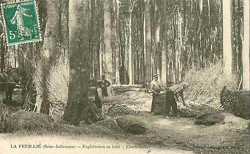 Exploitation en Forêt - Charbonniers