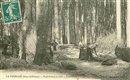 Exploitation en Forêt - Charbonniers