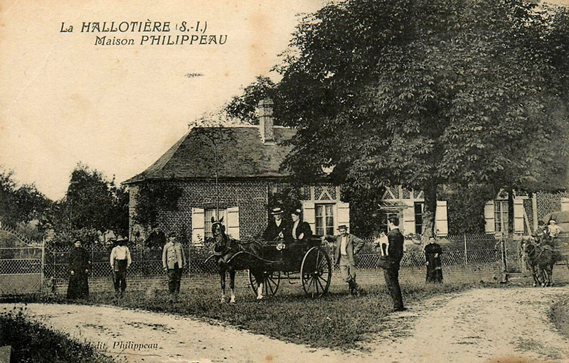 hallotiere-commerce