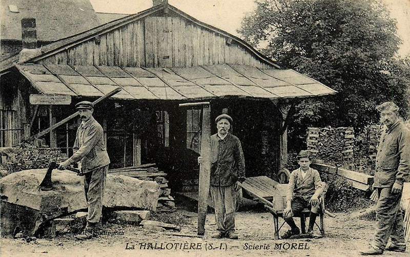 hallotiere-scierie