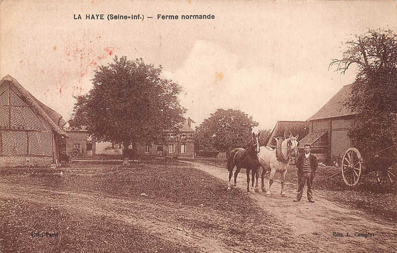 la-haye-ferme