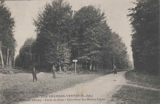 grandes-ventes-foret-eawy2