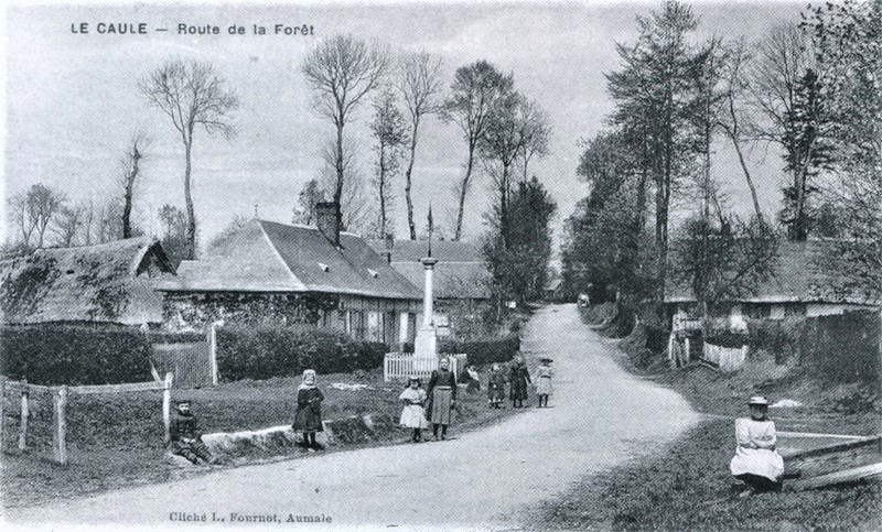 caule-sainte-beuve-route-foret