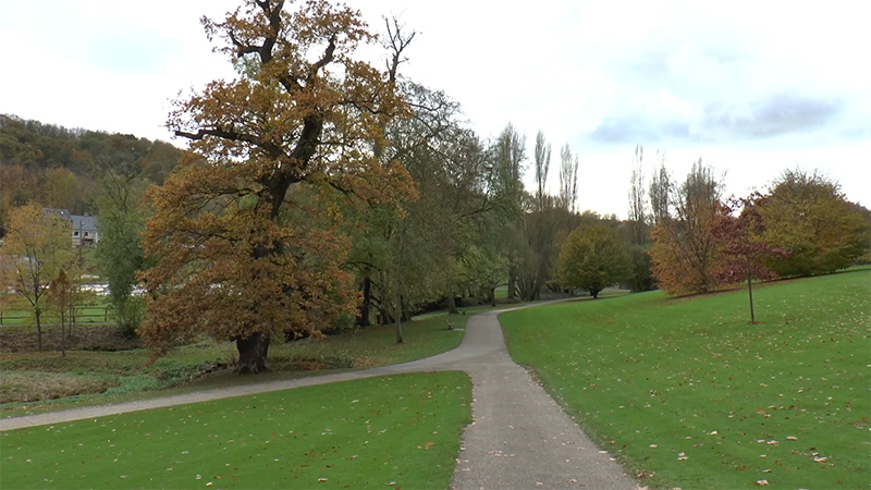 Le parc de Rouelles