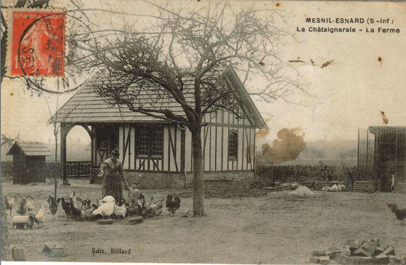mesnil-esnard-chataigneraie-ferme