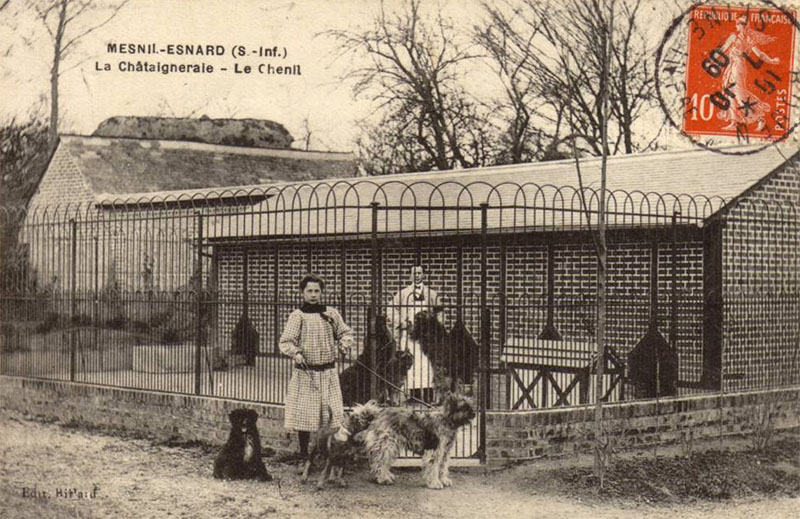 mesnil-esnard-chateau-chataigneraie-chenil