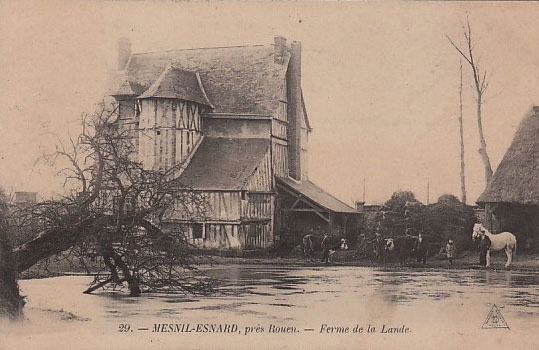 mesnil-esnard-ferme-lande2