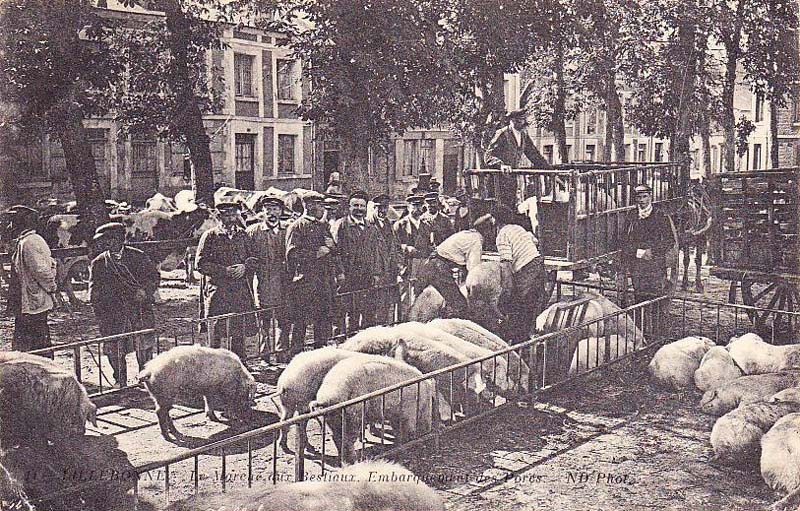 Le March� aux Bestiaux