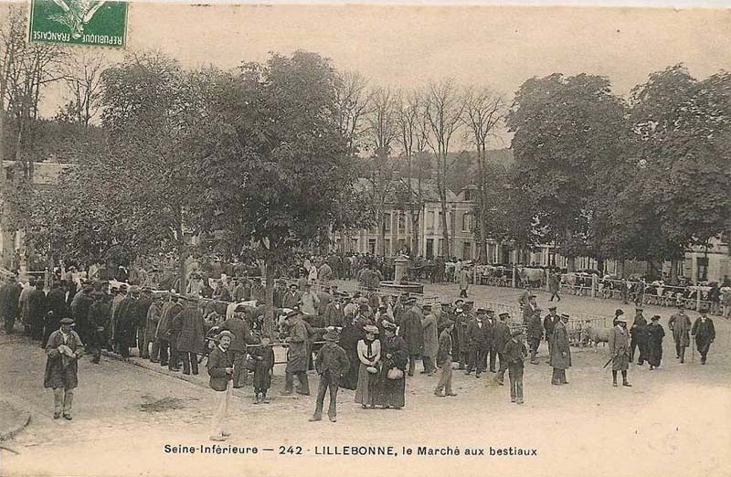 lillebonne-marche-bestiaux2
