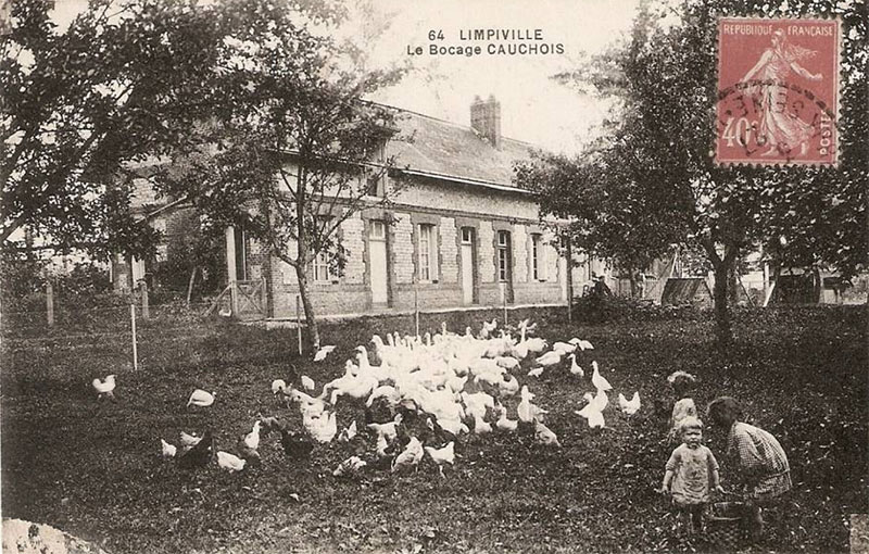 limpiville-bocage-cauchois