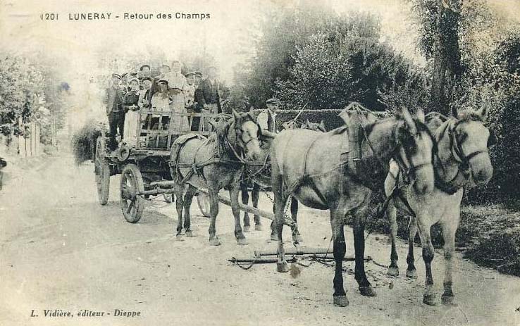 luneray-retour-champs