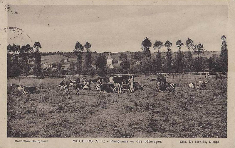 Panorama vu des p�turages