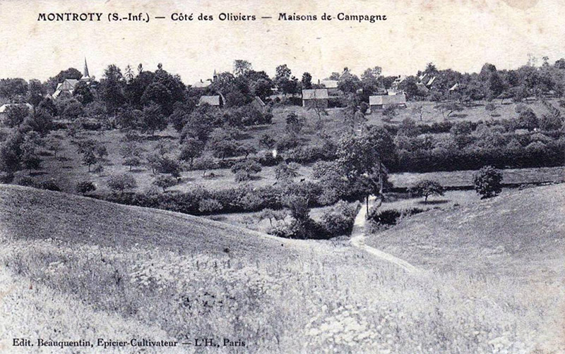 montroty-oliviers