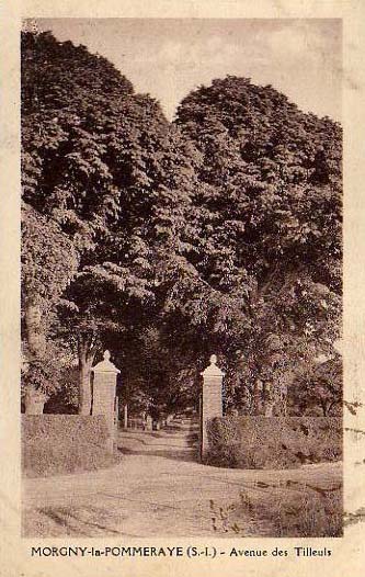 morgny-la-pommeraye-avenue-tilleuls