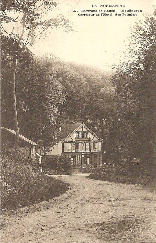 moulineaux-carrefour-hotel-palmiers