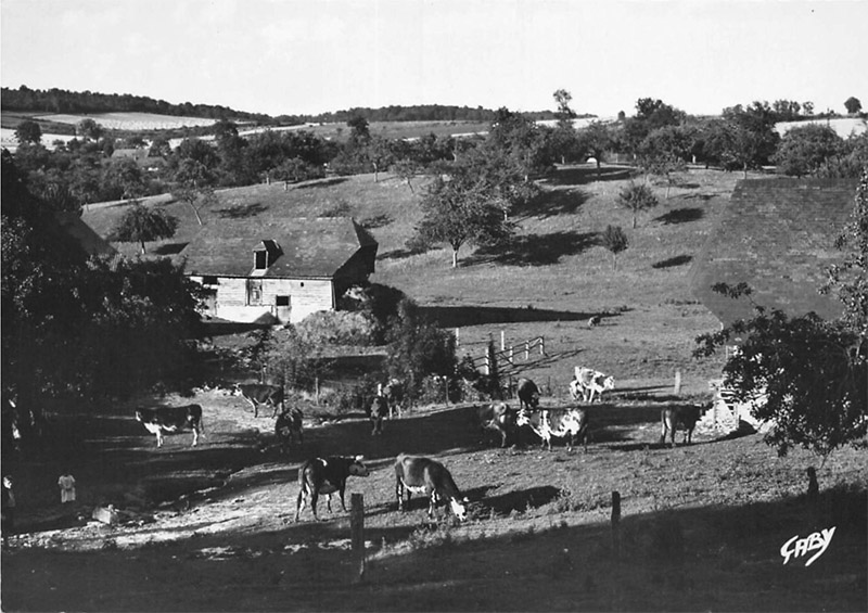 Ferme