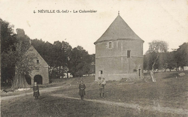 neville-colombier2