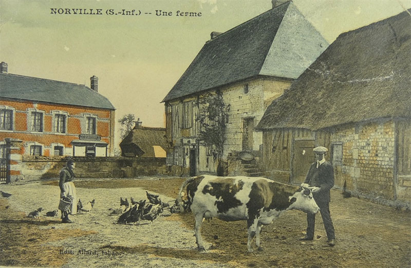 Ferme normande