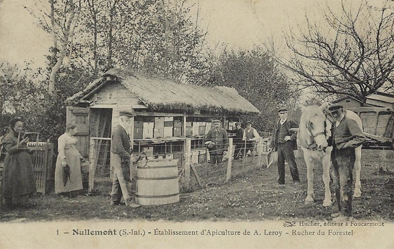 nullemont-apiculteur2
