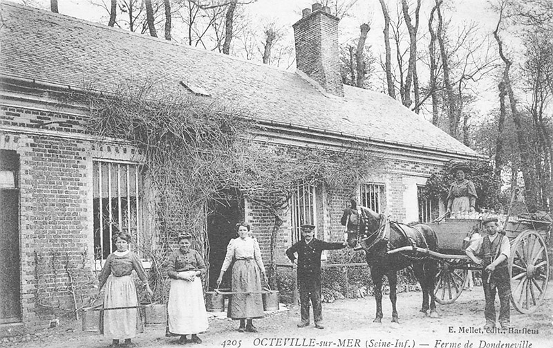 octeville-sur-mer-ferme-dondeneville