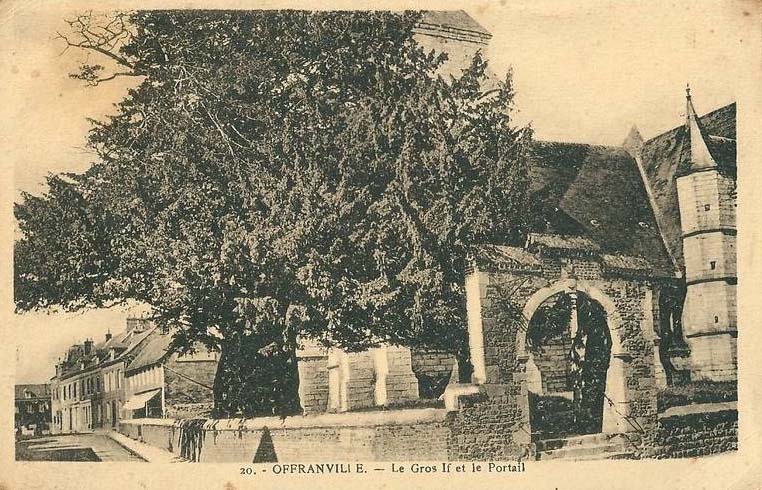 offranville-gros-if2