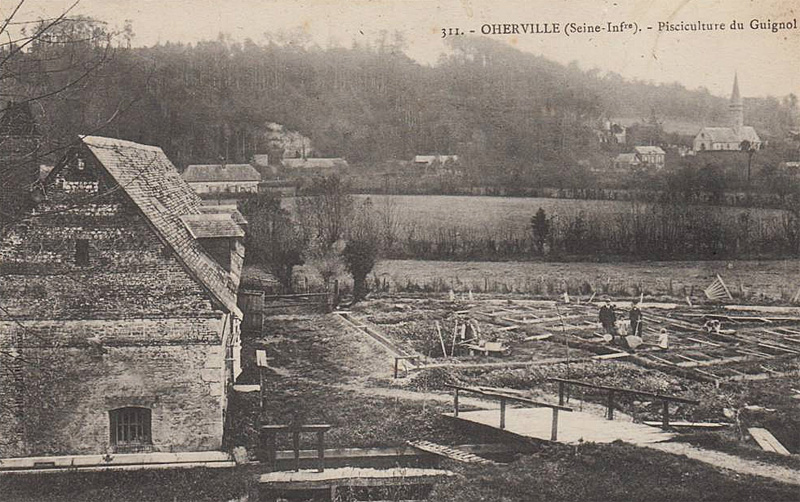 oherville-pisciculture