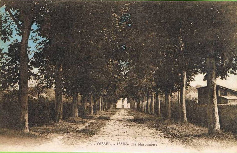 oissel-allee-maronniers