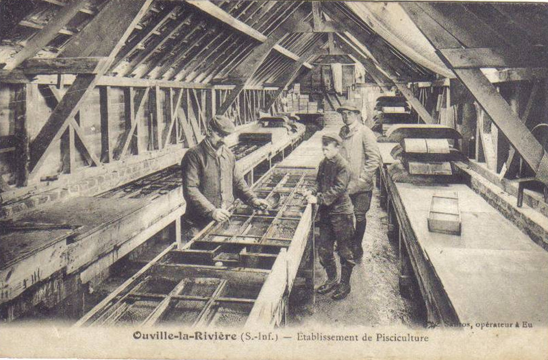 ouville-riviere-pisciculture