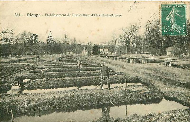 ouville-riviere-pisciculture2