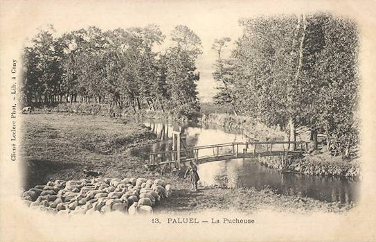 paluel-pucheuse